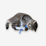 Anchovy Wool Catnip Toy