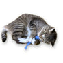 Anchovy Wool Catnip Cat Toy