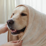 Pet microfiber drying towel