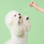 Smile Dental Brush & Gel