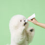 Smile Dental Brush & Gel