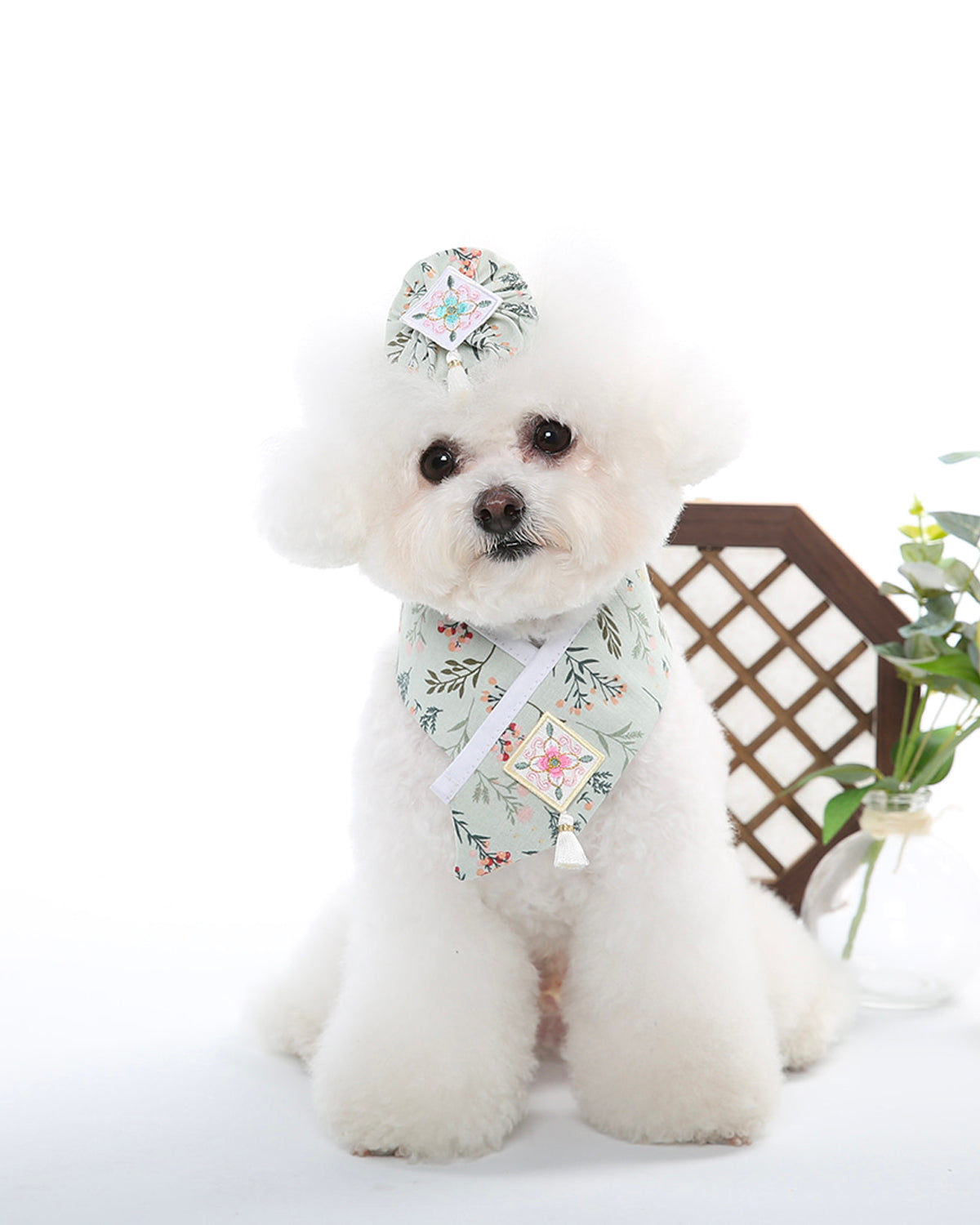 韓国犬服【MORIGE】Flower Garden Fusion Hanbok Hanbok Flower Dog Cape – Pets So Good
