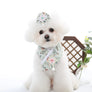 Hanbok flower dog cape