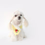 Hanbok Nubim dog cape