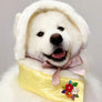 Hanbok Nubim dog cape