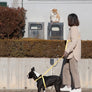 Macaron Hands Free Leash . Aqua