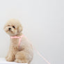 Macaron Hands Free Leash . Lavender
