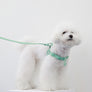 Macaron Comfort Harness . AQUA
