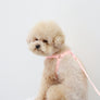 Macaron No Pull Dog Harness . Pink