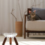 Oreo Glass Elevated Pet Table. Walnut . Tall