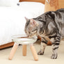Elevated modern design feeding table for dogs and cats_pets so good