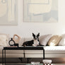 Elevated modern design feeding table for dogs and cats_pets so good