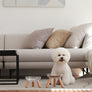 Elevated modern design feeding table for dogs and cats_pets so good