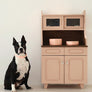 Pudding Pet Bowl Bundle