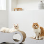 Peanut-shaped 2-in-1 cat scratcher board for stretching, relaxing, and playing – Petssogood