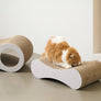Peanut-shaped 2-in-1 cat scratcher board for stretching, relaxing, and playing – Petssogood