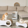 Peanut-shaped 2-in-1 cat scratcher board for stretching, relaxing, and playing – Petssogood