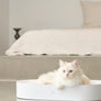 All Day cat scratcher with modern design, large surface, and non-slip bottom – Petssogood