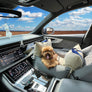 VOYAGE CAR COMFORT SEAT . INDIGO WOODS