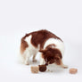 COCONI BEAR SILICONE NOSEWORK TOY