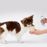 COCONI WATER AND SNACK BOTTLE