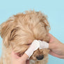 Clean Eye Finger Tissue