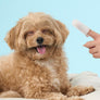 Clean Eye Finger Tissue