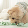 Silicon Snuffle Mat