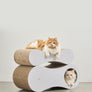 Peanut-shaped 2-in-1 cat scratcher board for stretching, relaxing, and playing – Petssogood