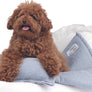 White organic cotton pet cradle bed with breathable antibacterial fabric and removable washable cover – Petssogood