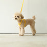 Macaron Harness . Yellow