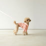 Macaron Harness . Pink