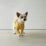 Macaron Collar . Yellow