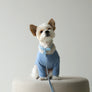 Macaron Collar . Blue