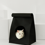 Hide & Seek cat bag made from 100% natural pulp with built-in scratcher and organic catnip – Petssogood