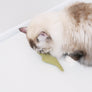 Boa Snake catnip toy