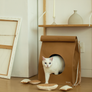 Hide & Seek cat bag made from 100% natural pulp with built-in scratcher and organic catnip – Petssogood