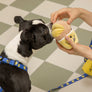 Muffin Nosework Toy