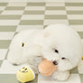 Muffin Nosework Toy
