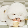 Muffin Nosework Toy
