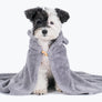 Animal hood towel . cat