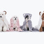 Animal hood towel . cat