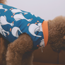 Flying Duck Reversible Padding Jacket . Blue