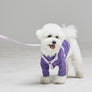 Macaron Harness . Lavender