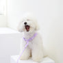 Macaron Comfort Harness . Lavender