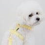 Macaron Harness . Lemon