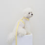 Macaron Harness . Lemon