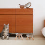 Elevated modern design feeding table for dogs and cats_pets so good