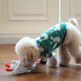 Flying Duck Nosework Toy