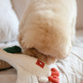 Flying Duck Nosework Toy